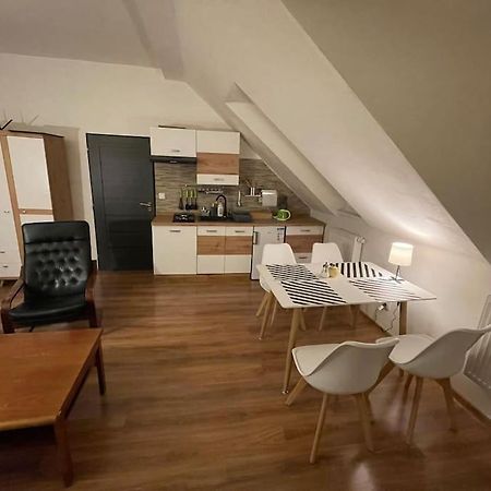 Francis Apartment - Lazenske Centrum Κάρλοβι Βάρι Εξωτερικό φωτογραφία