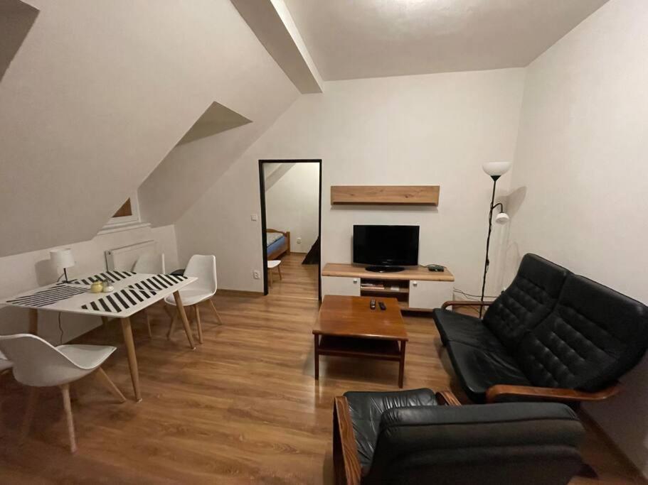Francis Apartment - Lazenske Centrum Κάρλοβι Βάρι Εξωτερικό φωτογραφία