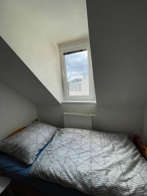 Francis Apartment - Lazenske Centrum Κάρλοβι Βάρι Εξωτερικό φωτογραφία